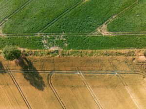 CO2 Fußabdruck: Was er bedeutet, wie man ihn berechnet und gezielt senkt