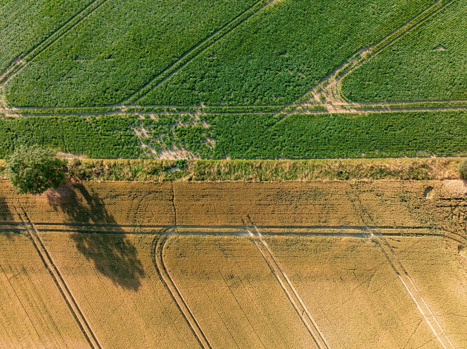 CO2 Fußabdruck: Was er bedeutet, wie man ihn berechnet und gezielt senkt